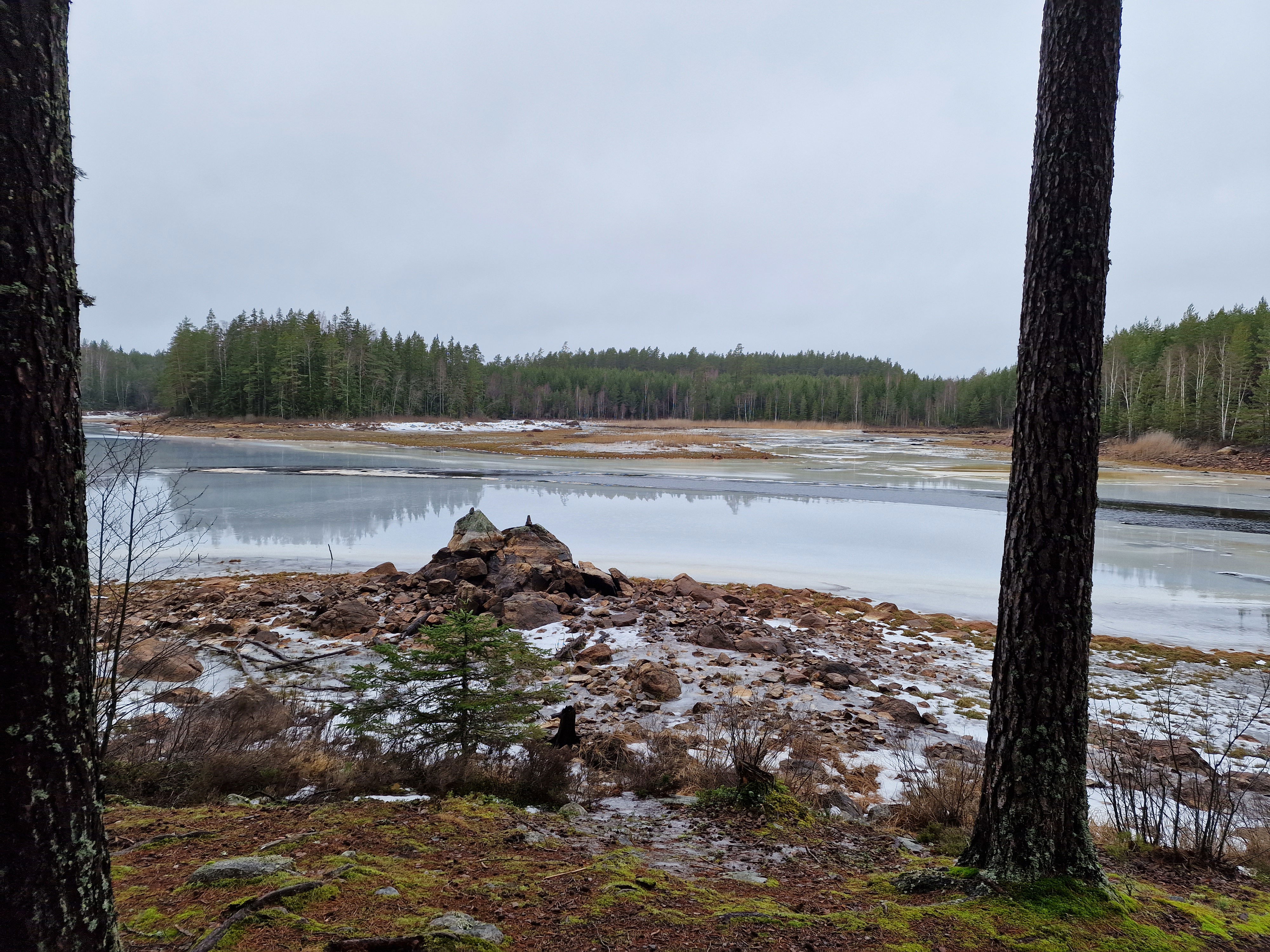 Sågsjön