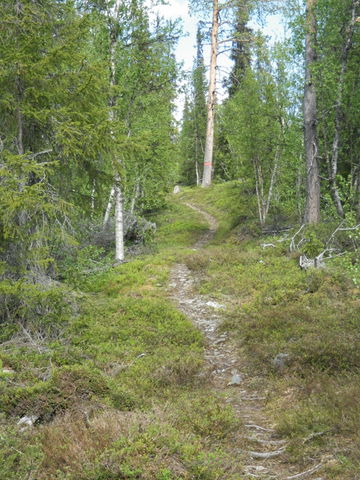 Oxbäcken–Bäverdalen Njakafjäll