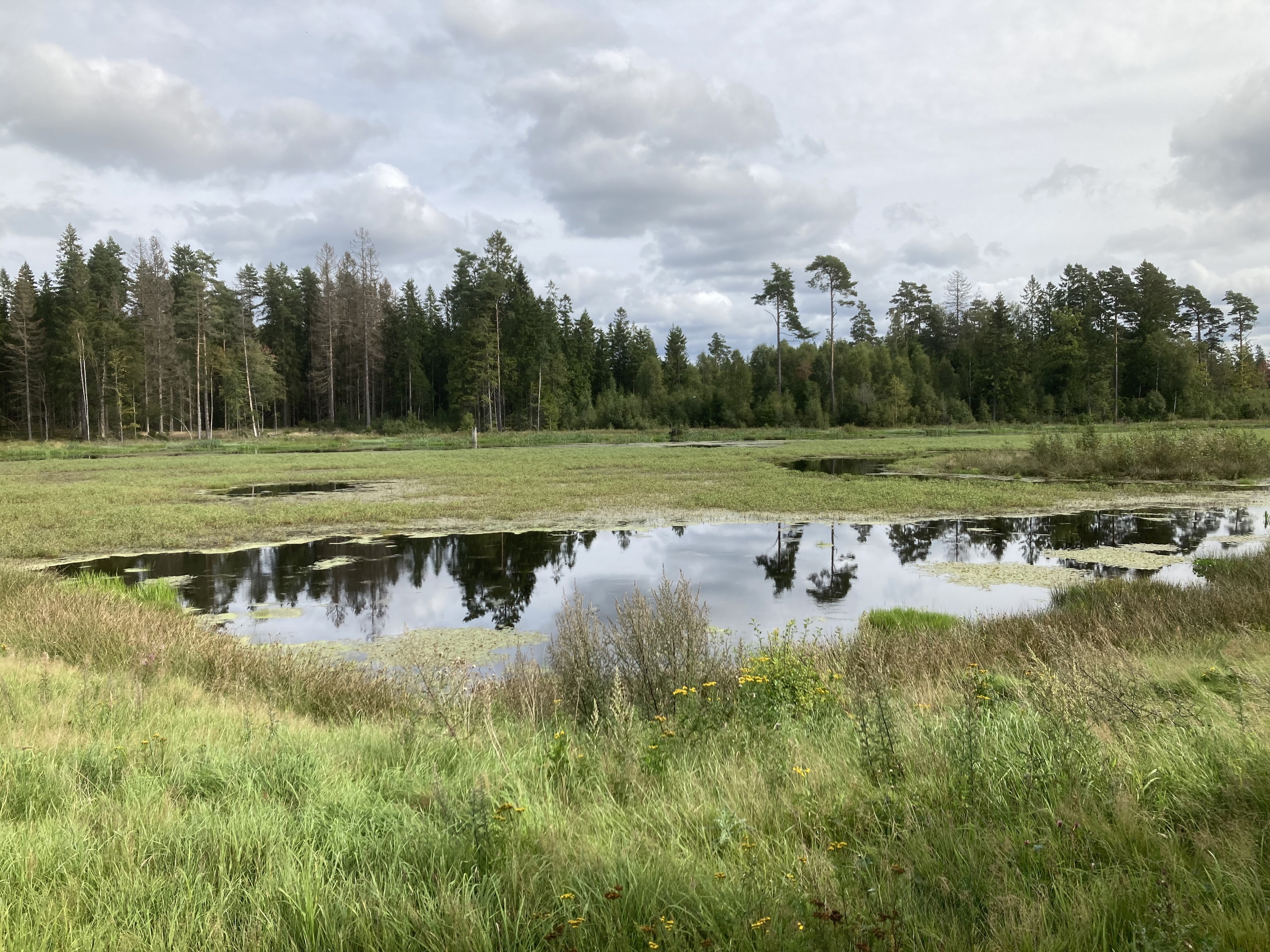 Stomsjörundan