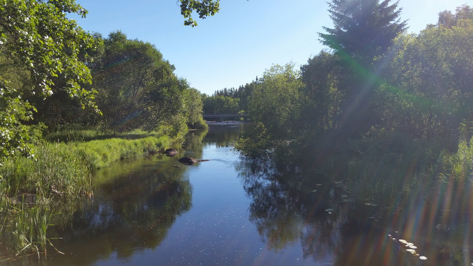 Värnamo kommun