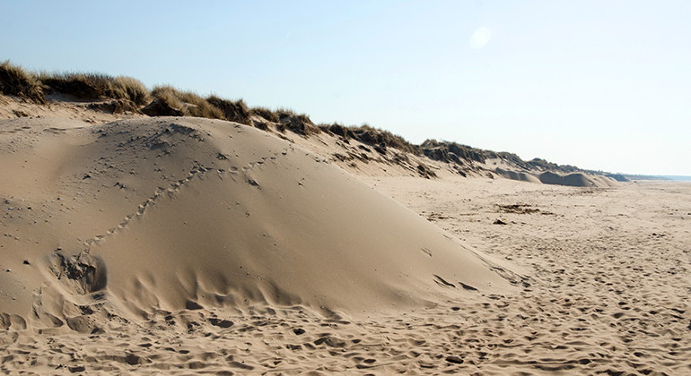 Sanddyna.