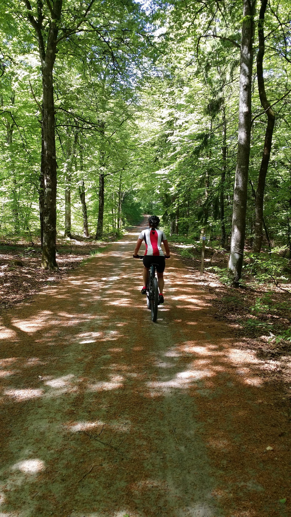 Kronoberg naturreservat