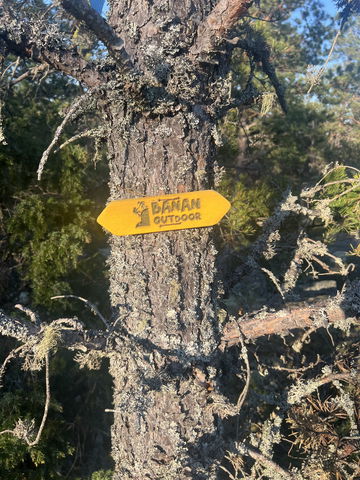 Banan outdoor