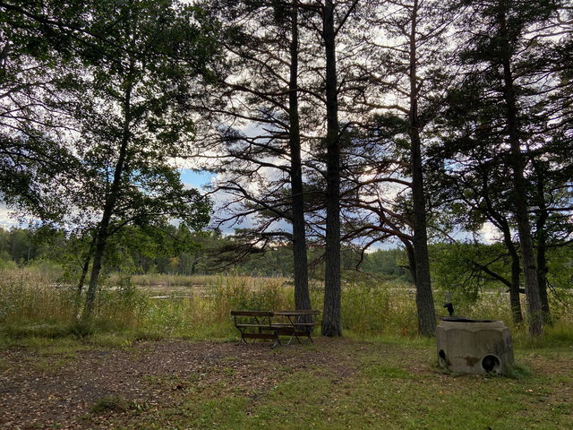 Grillplats, Tallparken