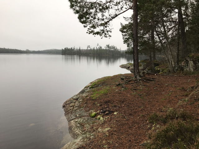 Strandfiske Örkaggen