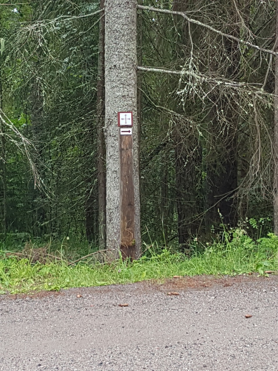 Ledmarkering längs grusvägar och stigar