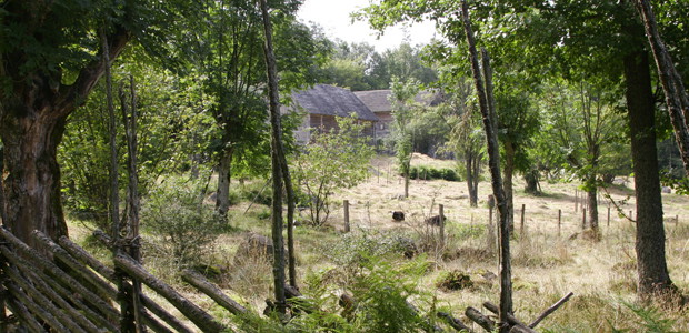 I bakgrunden skymtar Sporrakulla gård.