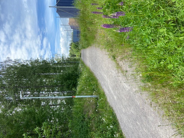Östgötaleden vid Lundbyvallen