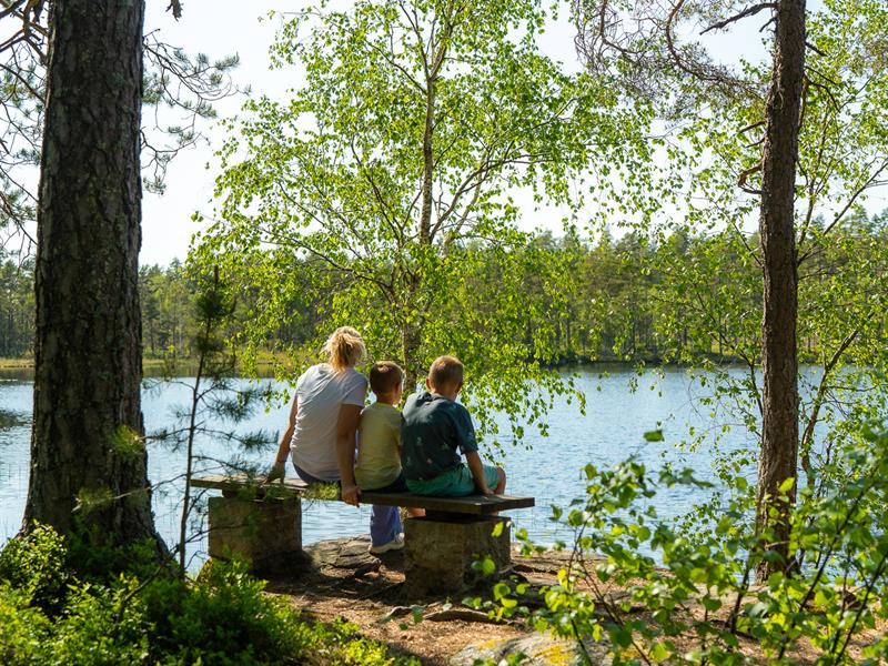 Det er benker ved Trollbergtjern i tillegg til rasteplassen - tre barn som koser seg på benken.