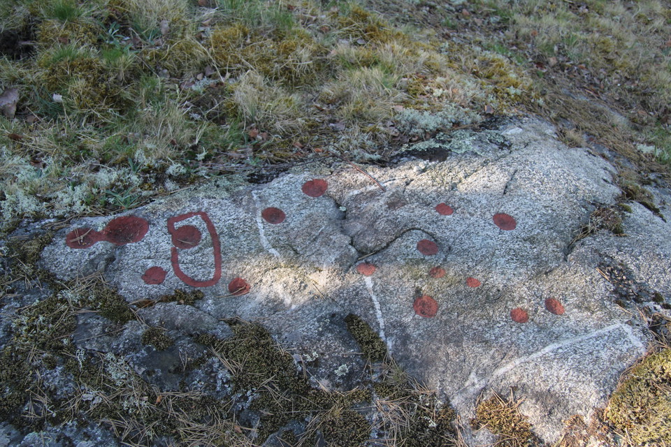 Många hällristningar på en liten klipphäll.