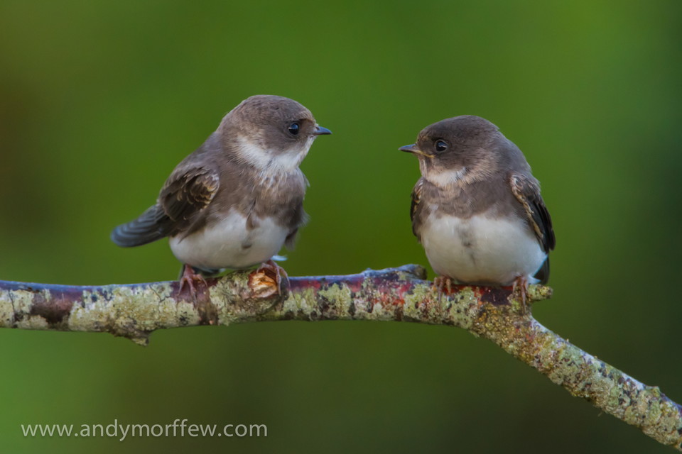 Kontaktpersoner för Romboledens olika etapper