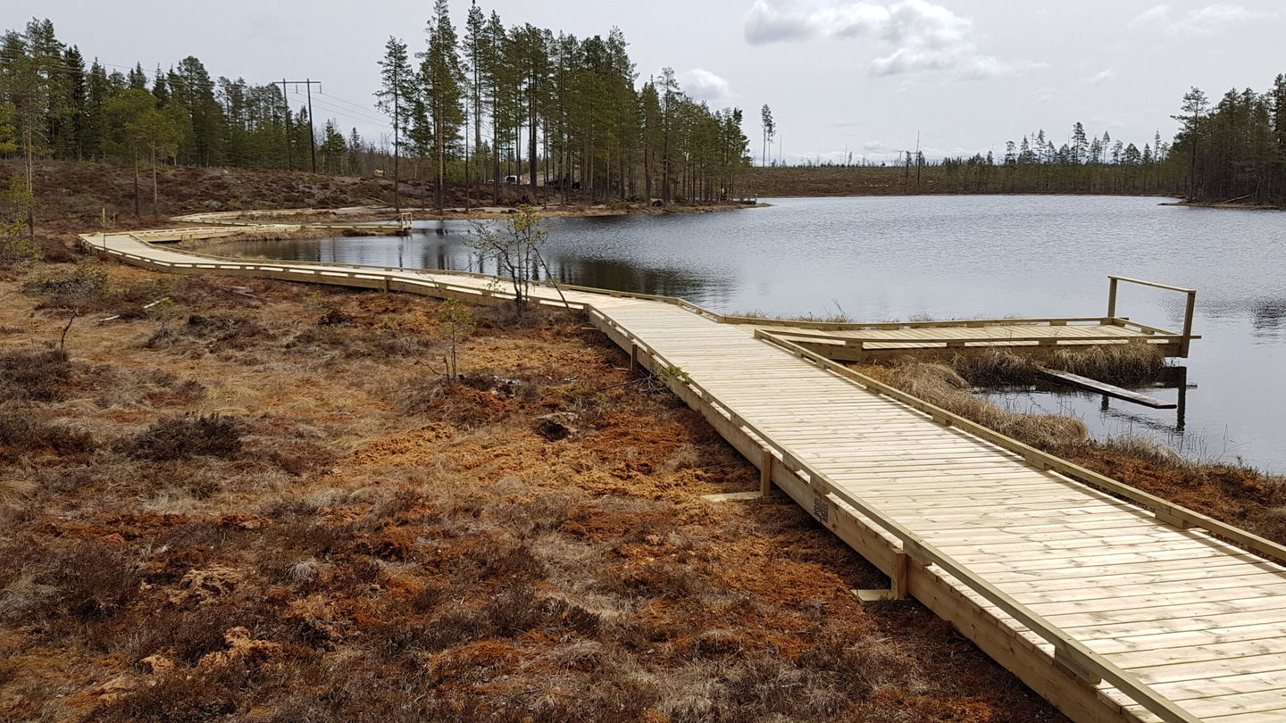 Anpassad träramp i sjökant