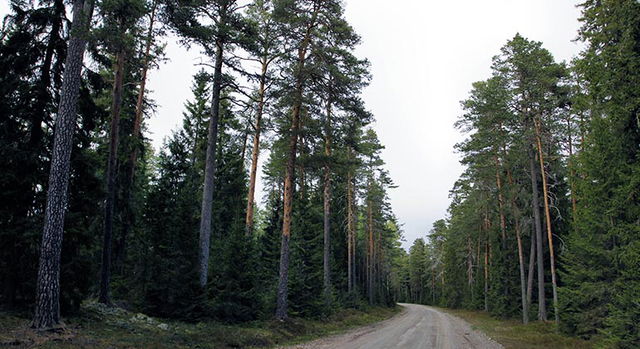 Helgedomen, Naturreservat