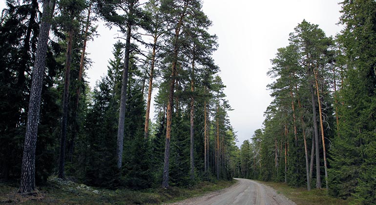 Helgedomen.