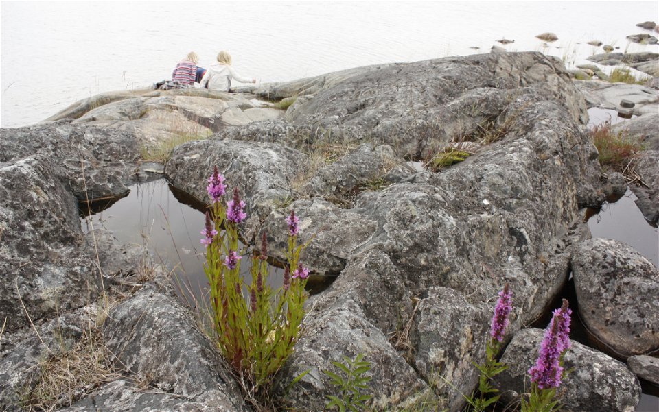På en ojämn klipphäll har små vattenfyllda gölar bildats. Det växer blommor vid en av gölarna och i bakgrunden sitter tre barn.