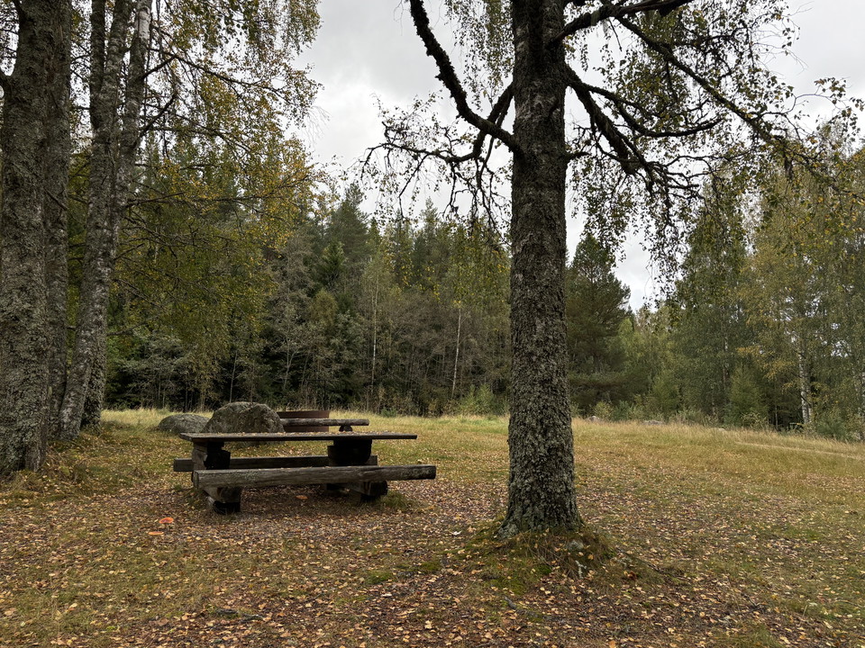 Vy över rastplatsen