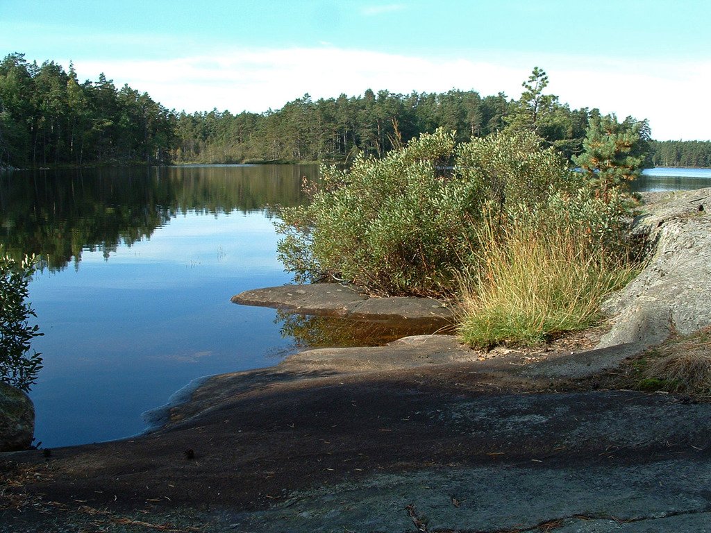 Flera ställen vid sjön passar bra för fikapaus
