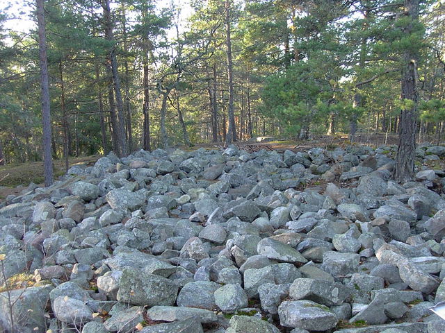 Gravröse i Rudboda