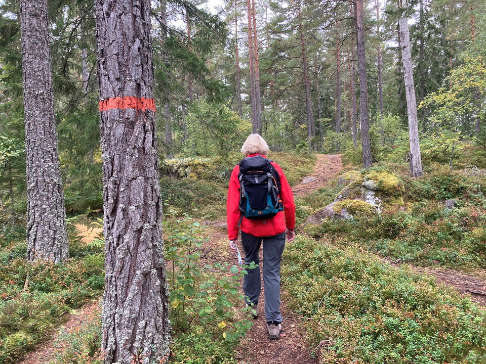 Rundslinga Sya 15 km