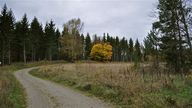 Bornsjön - Hiking along Svaldungevägen road