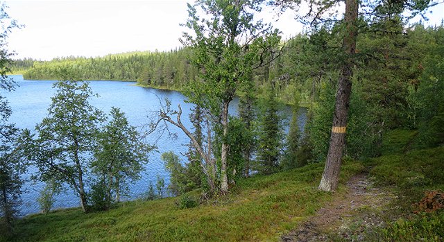 Trail Njallajávrre, Kronogård