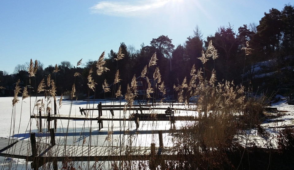 Bryggor vid Grönstakolonin. Foto Lidingö stad