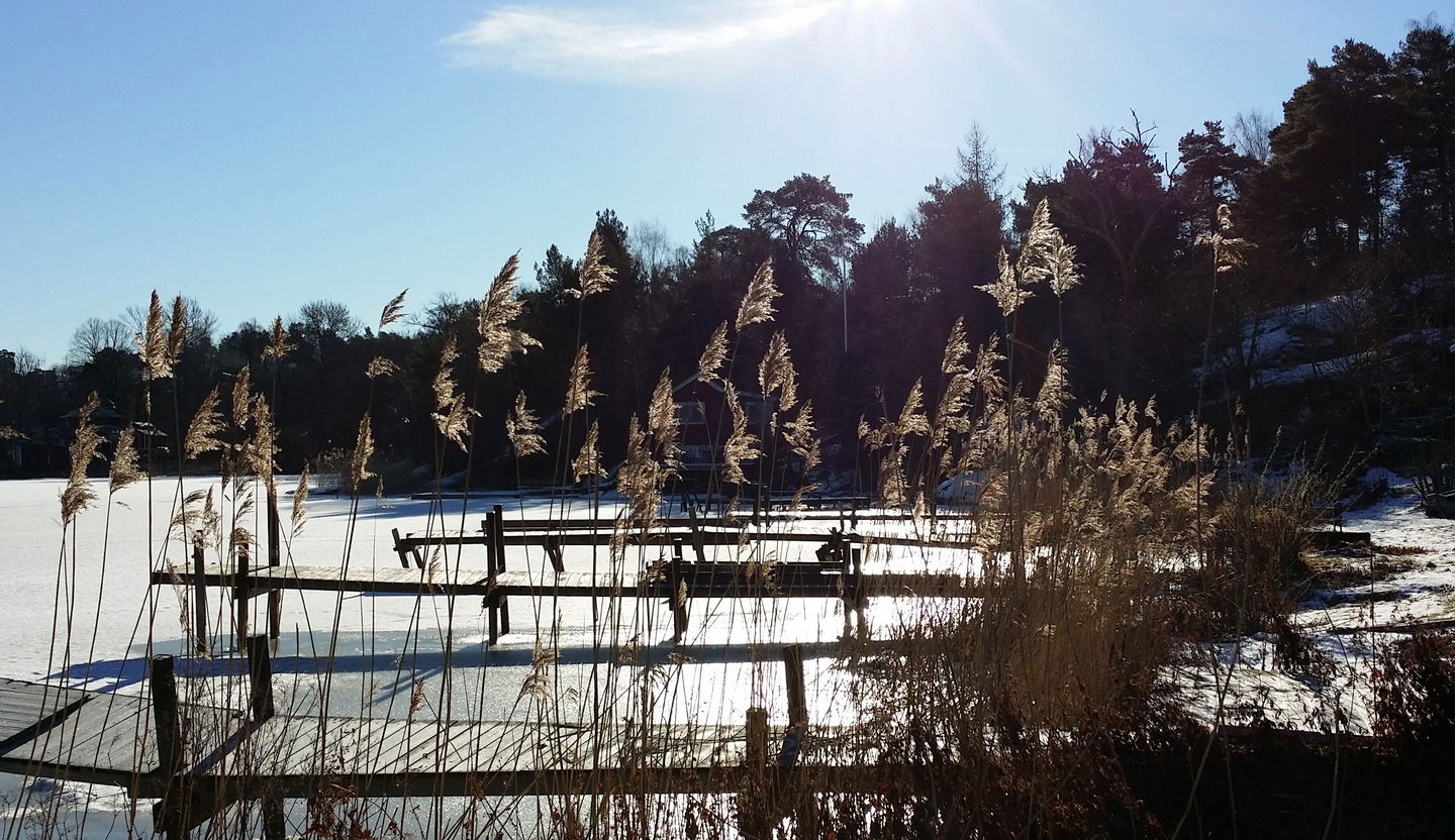 Bryggor vid Grönstakolonin. Foto Lidingö stad