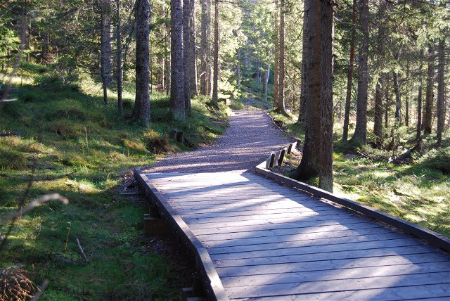 Wheelchair-adapted path to the viewpoint of Nylandsruten