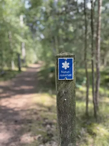 Såghuslund naturreservat