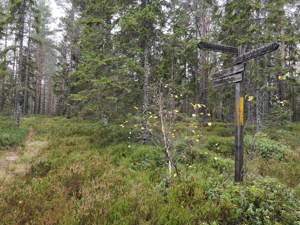Ledhänvisning