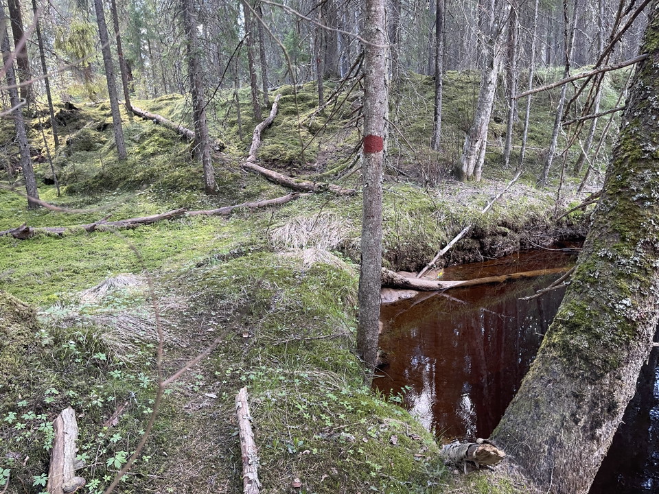 Stig som går längs vattendrag.