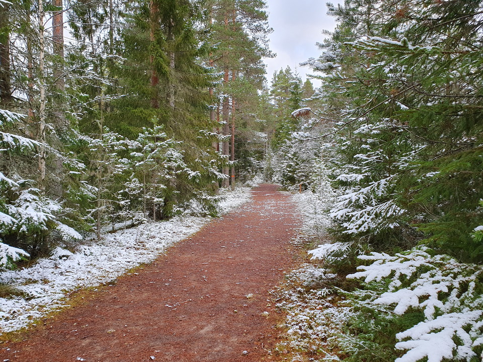 Stegaslingan är en lättgången och trevlig vandringsled som följer åsar på sandheden
