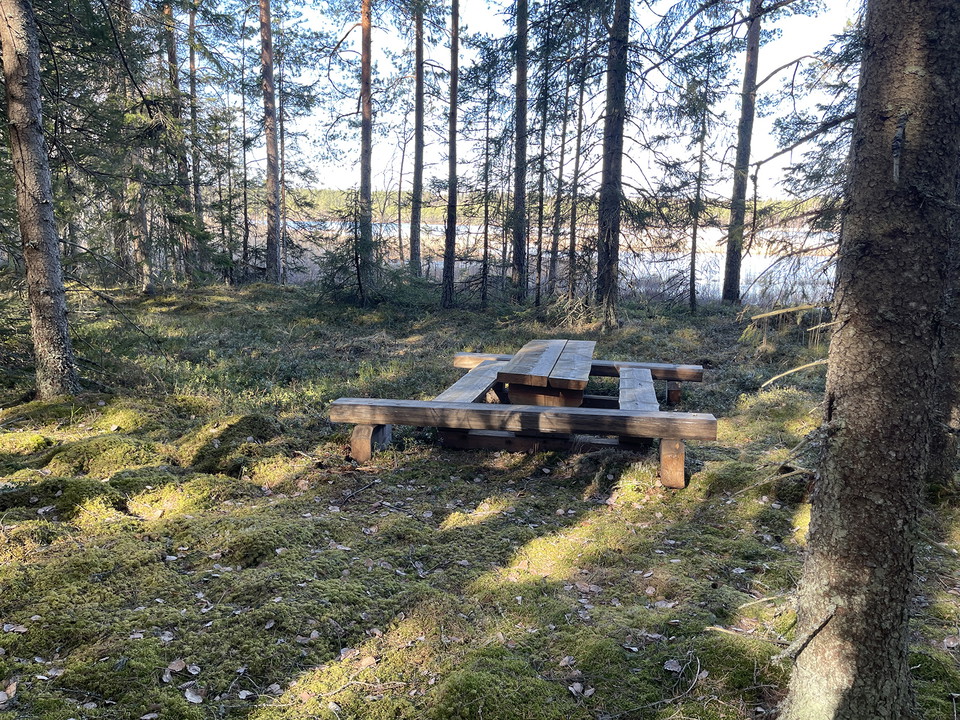Ett picknickbord med bänkar runt om står i en glänta nära vatten.