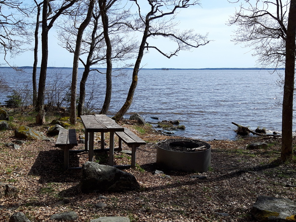 Vy över grillplatsen, bord med bänkar och eldstad.