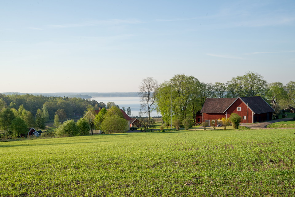 Fotograf: Tobias Ivarsson
