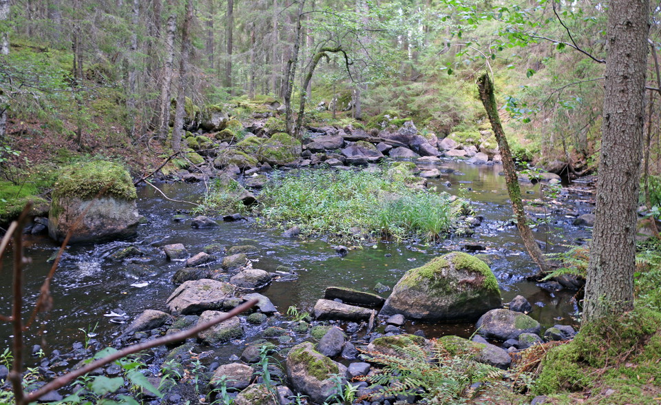 Venabäcken rinner fram genom stenpartier.