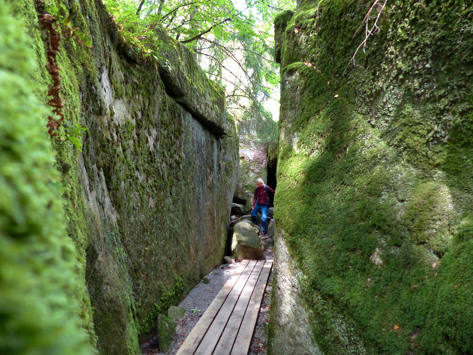  Skrevan i Åsnens nationalpark