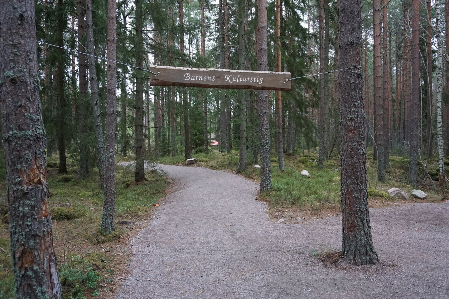 Skylt hänger i träden med text Barnens kulturstig. Under skylten går en tillrättalagd stig in till kulturstigen. 