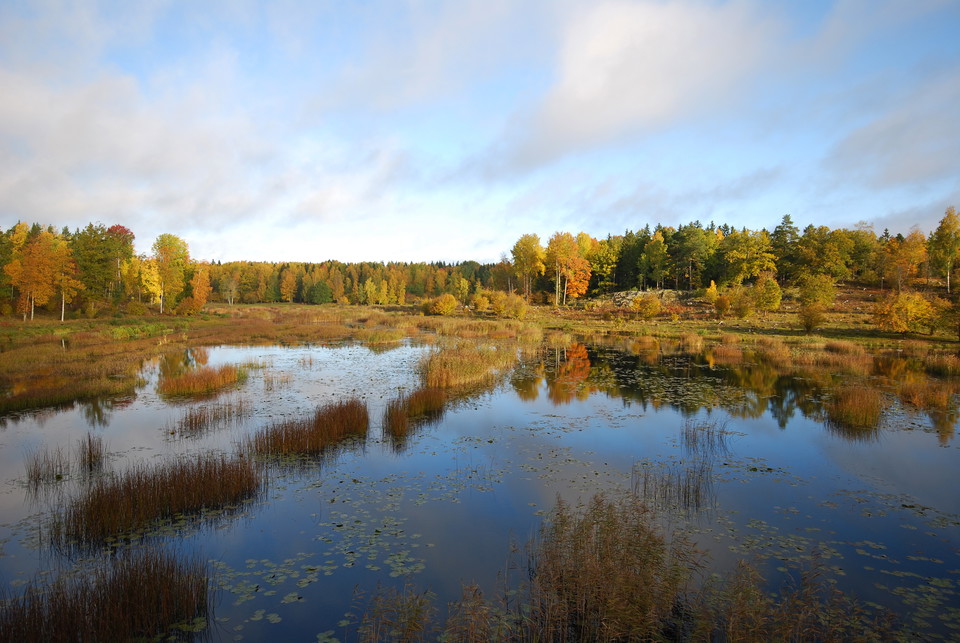 Höstvy från fågeltornet över Linasjön