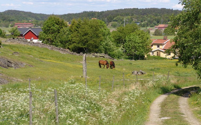 Svanesund-Hoga, Kuststigen, etapp 6