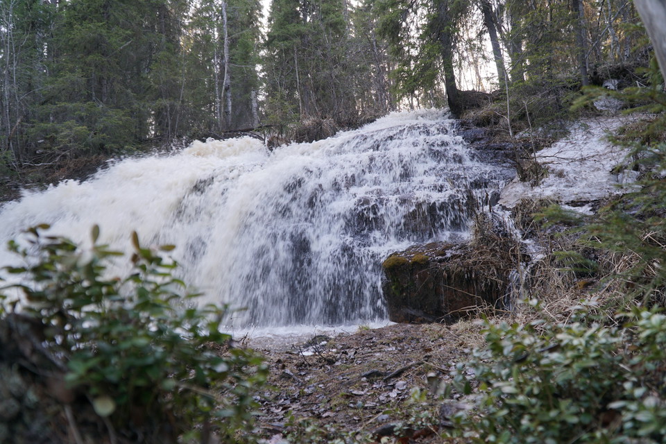 Brudslöjan when it's a lot of water