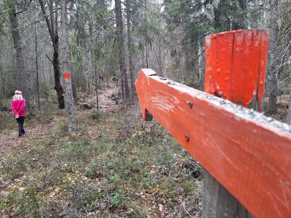 Leden är markerad med orangea markeringar