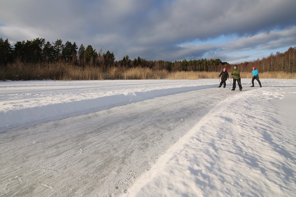 Västeråsfjärdens skirdskobana - skridsko nära naturen