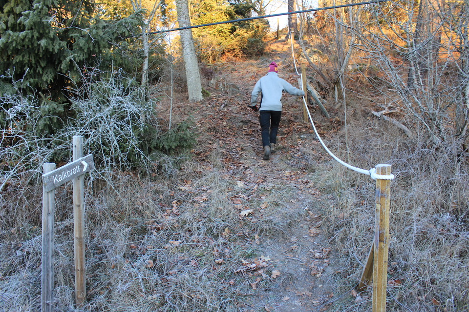 Kalkbrottstigen är rödmarkerad och leder dig upp och längs berget till kalkbrottet.