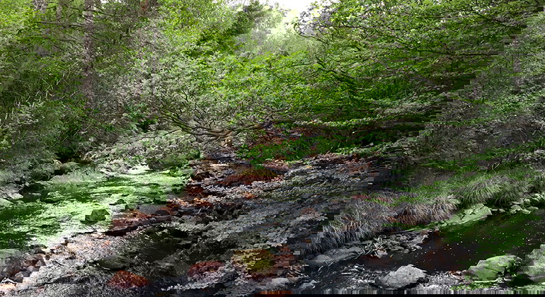 vattnet som rinner genom reservatet