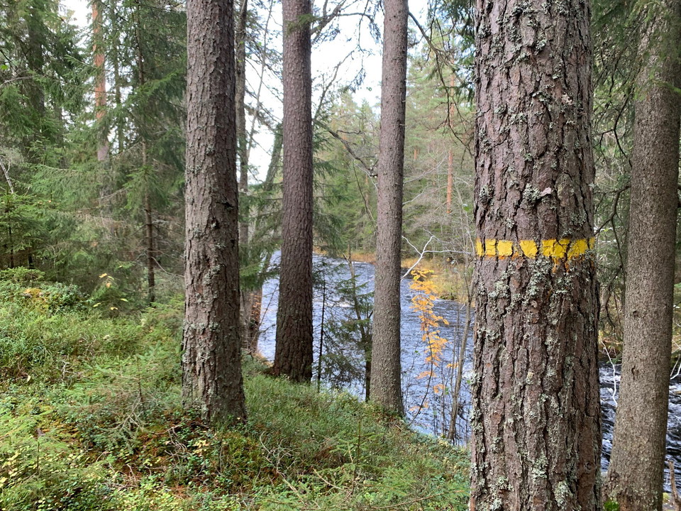 Ledmarkering (Gul) Lumsen