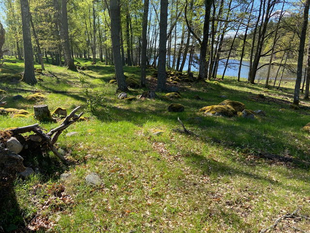 Blå stigen, Bredforsen