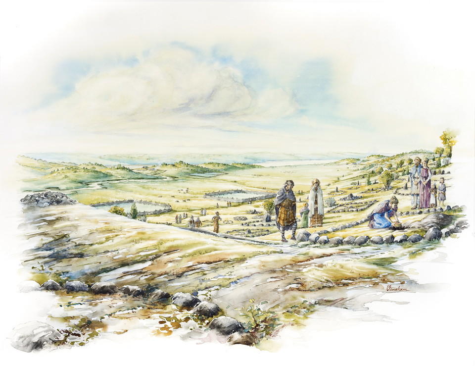 Äldre järnåldersgravplats