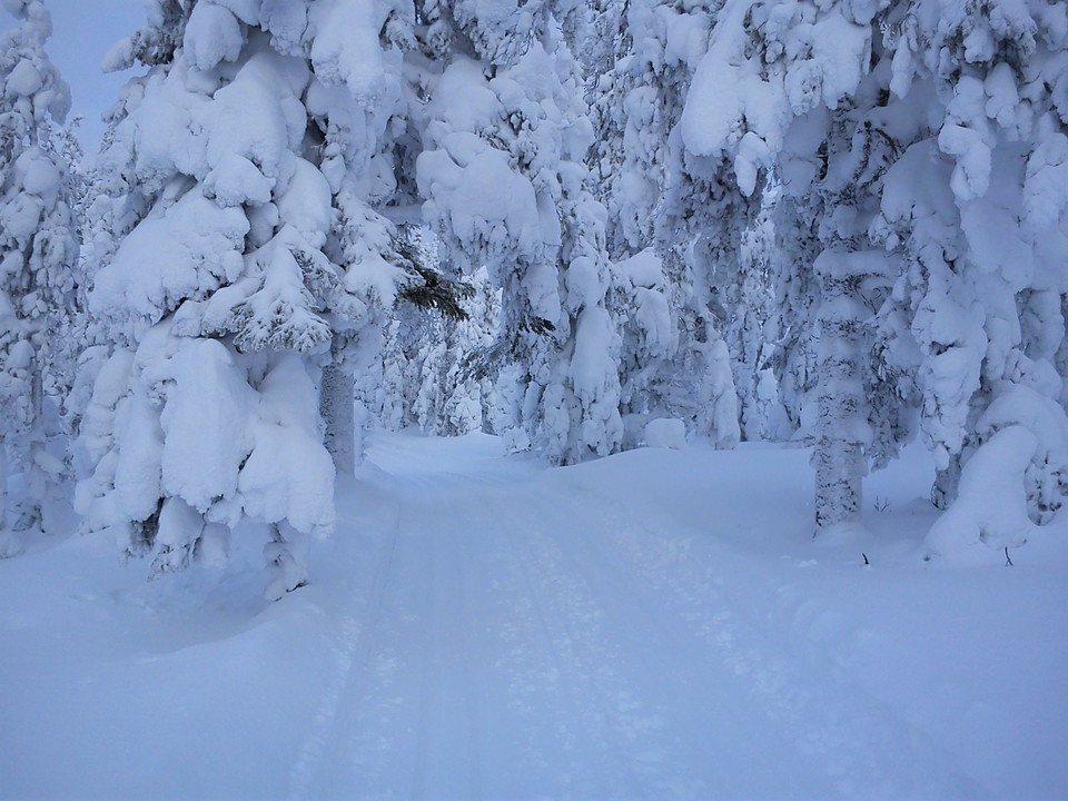 Skidspår i Harsa