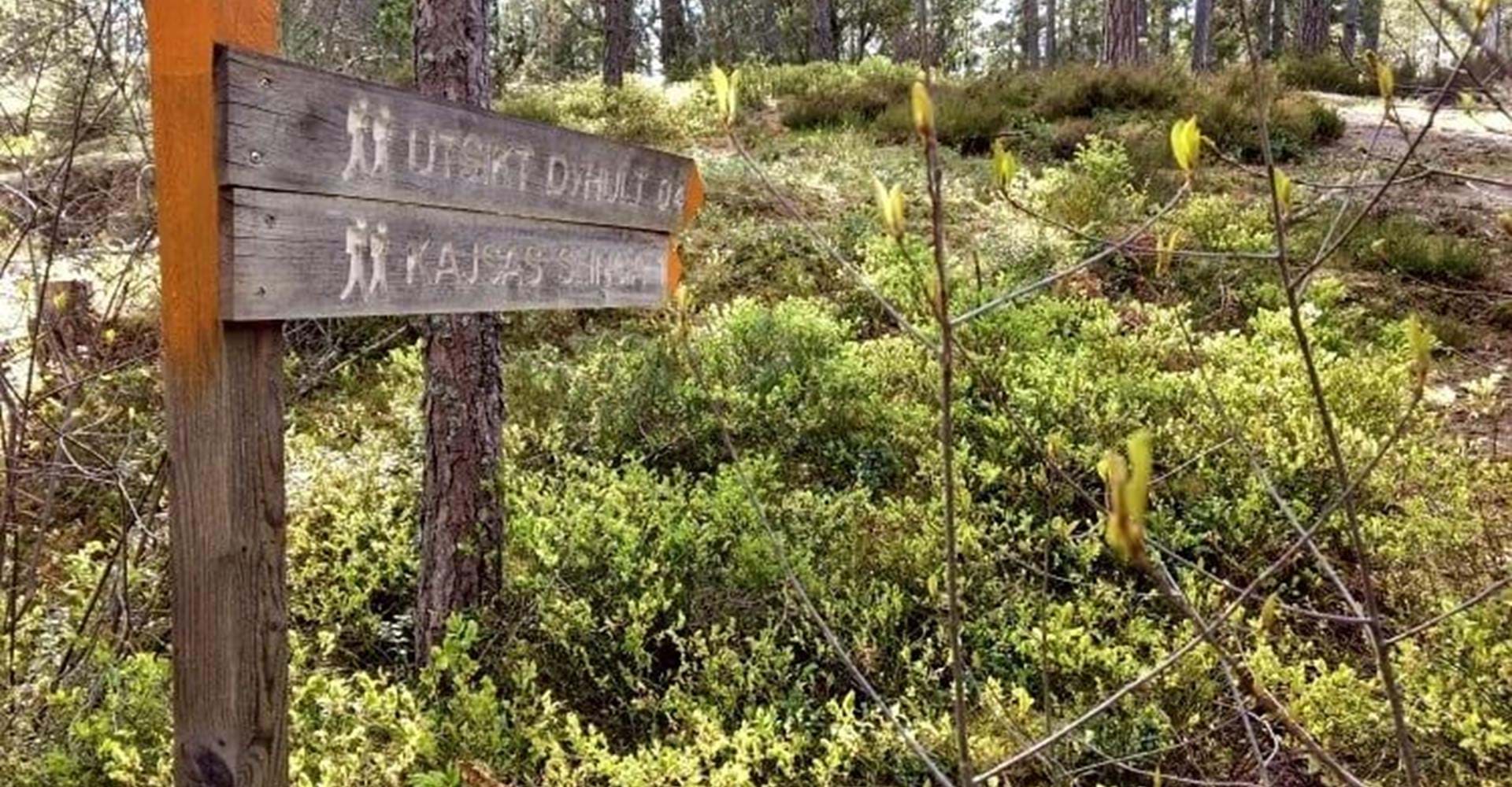 Vägvisare till utsikt fån Hällaskogen och Kajsas slinga, Hälla naturreservat
Etapp: Hälla-Forsum
Söderköping